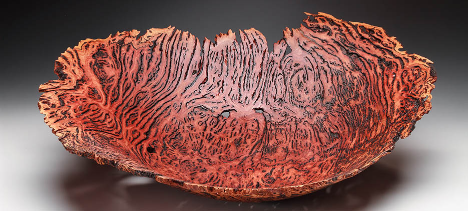 Lathe turned wood bowl by Steve Noggle